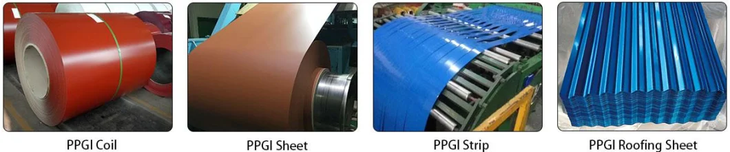 China ASTM JIS 0.3-3mm Coils Price PPGI Color Coated Galvanized Steel Coil