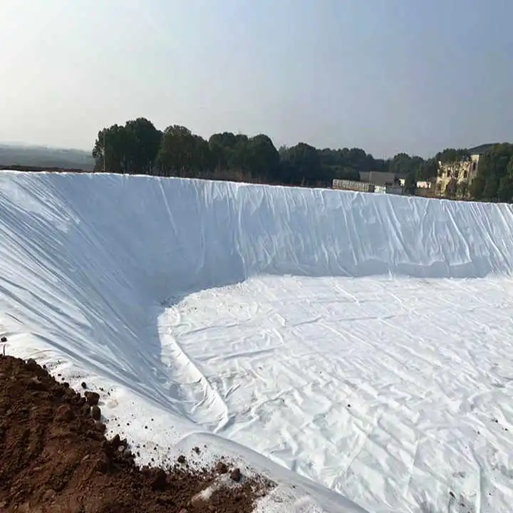 Customized Short Fiber Geotextile for Reinforcement of Water Conservancy Slope Protection