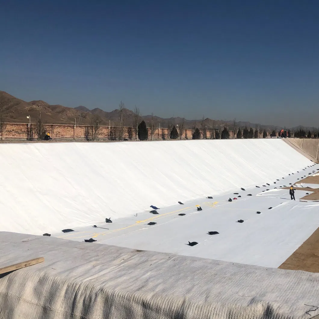 Customized Short Fiber Geotextile for Reinforcement of Water Conservancy Slope Protection