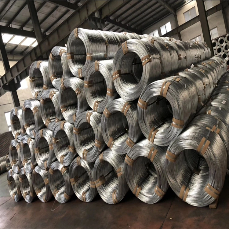 Factory Sell Prices Hot DIP Galvanized Roofing/Ship/Boiler Steel Coil with All Size