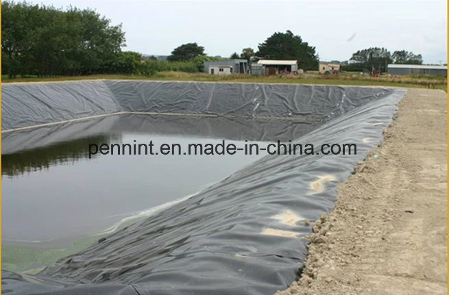 Factory Price Polyethylene Membrane Malaysia Pond Liner HDPE Geomembrane