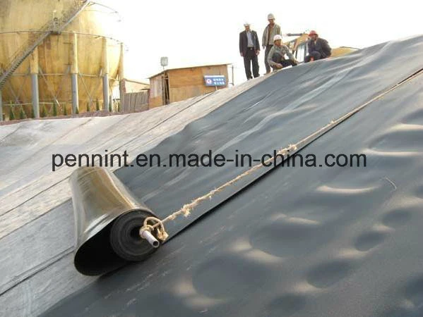 Factory Price Polyethylene Membrane Malaysia Pond Liner HDPE Geomembrane