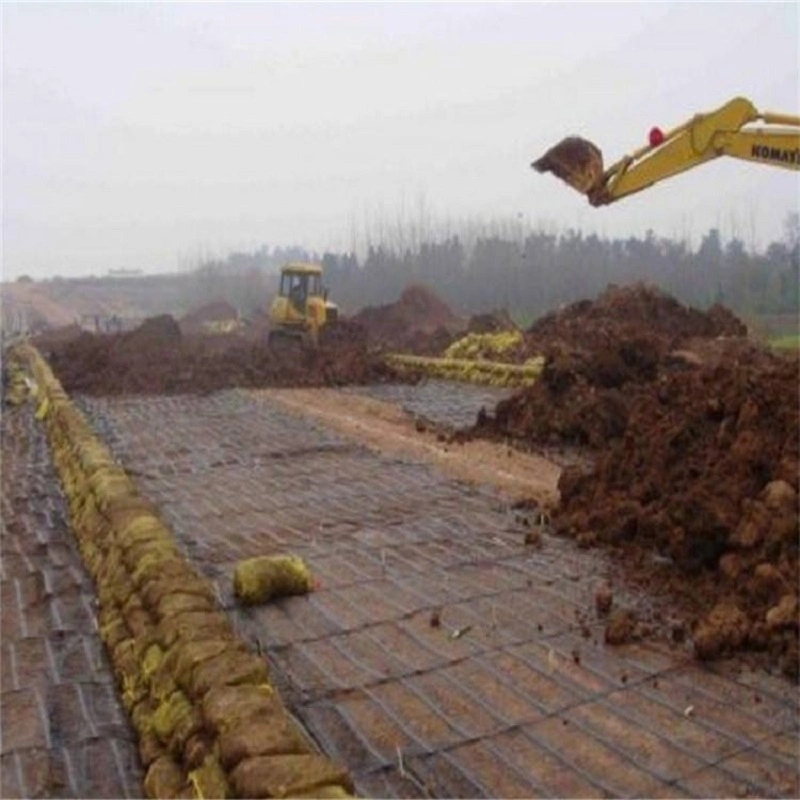 Roadbed Reinforcement Geogrids for Stable/Slope Protection/Ground Construction