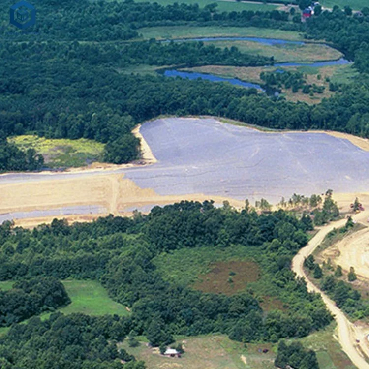 Dampproof HDPE Waterproofing Membrane Pond Liners for Dam Project in Kenya