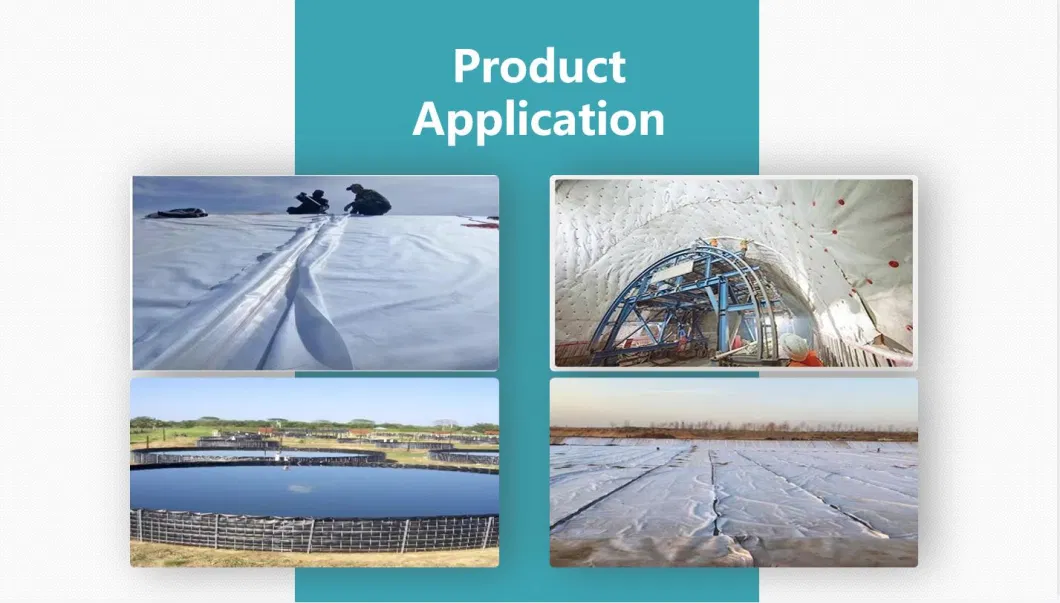 Anti-Seepage Membrane/Two Cloths One Membrane/Composite Geomembrane Fish Pond/Water Storage Tank/Biogas Tank