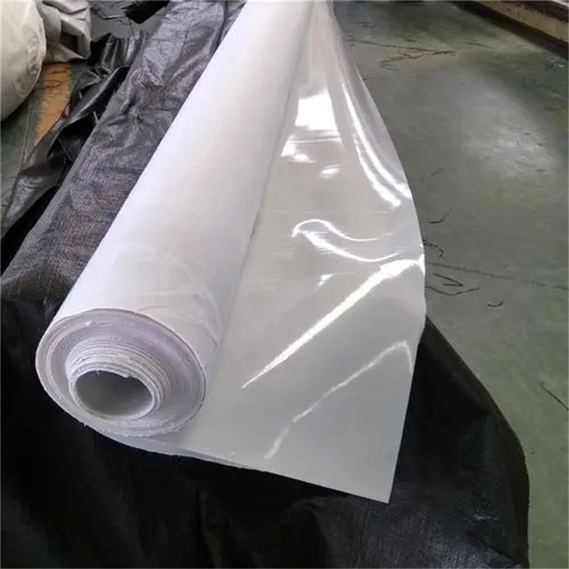 Two Textile One Membrane PE Composite Geomembrane Used in Anti-Seepage