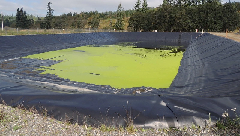 HDPE 1mm Geomembrane 60 Mil Pond Liner 2mm Landfill Biodigester Liners Geomembrane
