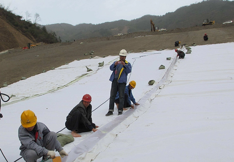 Needle-Punched Bonding Geotextile Filter Fabric for Retaining Walls Temporary Erosion Control