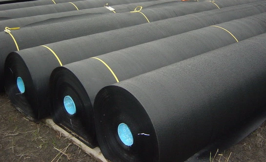 Chinese Eco-Friendly 0.75mm HDPE Geomembrane Liner Waterproofing Membranes