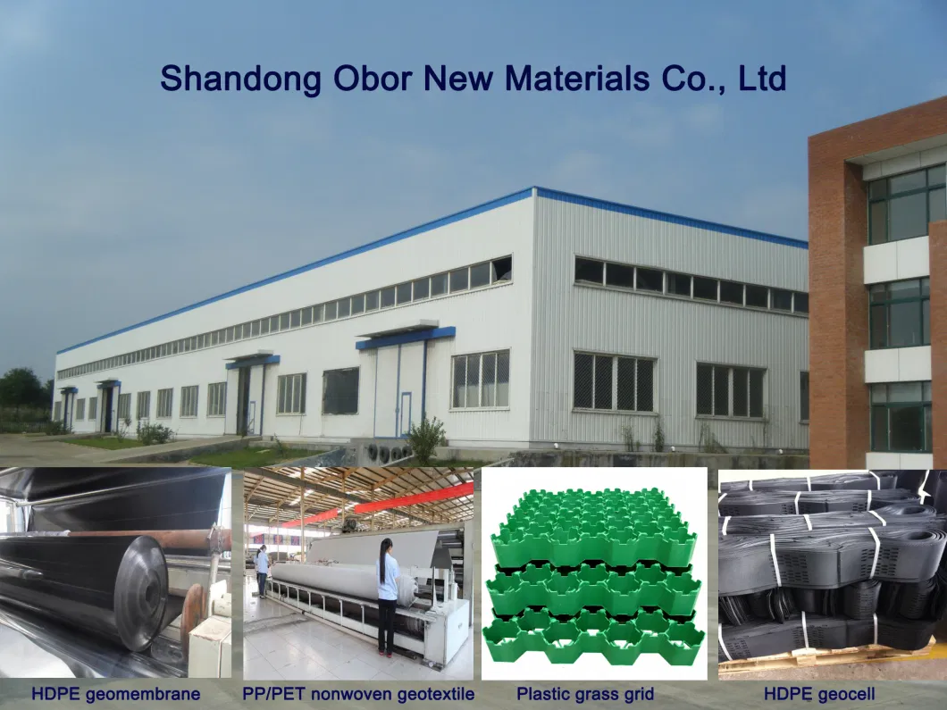 Road Construction ASTM Standard HDPE Composite Geomembrane