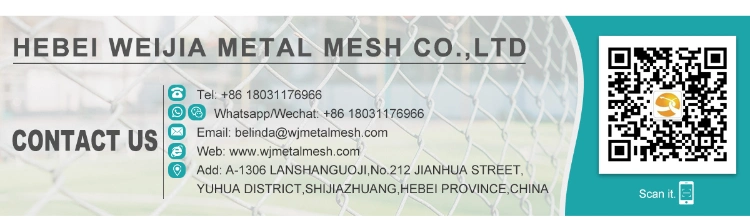 High Security Fence/PVC Coated Fence/Double Wire Fence/868 Fence/656 Fence/Anti-Climb Fence/Clearvu Fence/Clear View Fence/Chain Link Fence/358 Fence