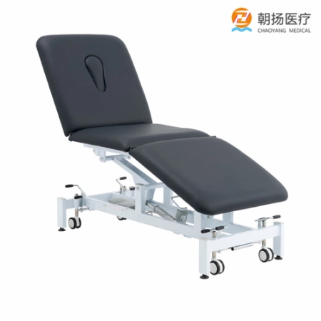 Luxury Electric Physical Therapy Beauty SPA Bed Massage Table Cy-C108