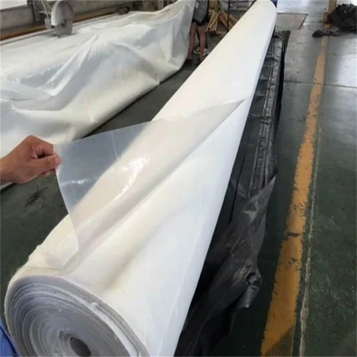  Высокая прочность акупунктуры EVA, PE композитный Geotextile Geomembrane ASTM