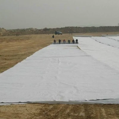  Долговечная ткань с непрерывной нитью из нетканого материала Geotextile для продажи