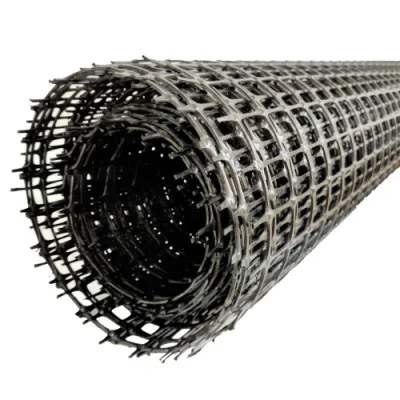  Китайский поставщик Geogrid Лучшее качество PP Biaxial Geogrid for Road Строительство