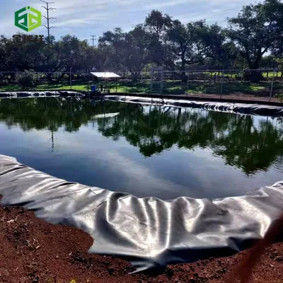  Защитное покрытие из рыбы Пунд футеровка непроницаемая Geotextile Membrane Green Pond Liner Harga Geomembrane на м2