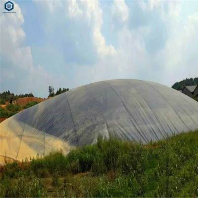  60 Mil HDPE Geomembrane стоимость гильзы для производства биогаза Digester Проекта в Сингапуре