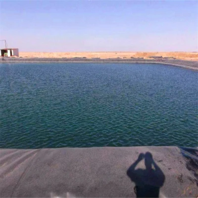 HDPE/LDPE/LLDPE композитный водонепроницаемый пластиковый подкрылок 2мм Geomembrane пруд цена