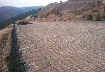  Подъездная дорожка строительных материалов полиэфирная ткань Geogrid для стен