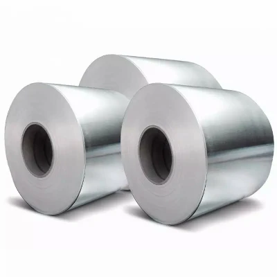  Ss 316 л/317 л/304/409/309S ASTM холодной горячей перекатываться пластины из нержавеющей стали/лист/катушка/Газа производителей низкой цене катушки из нержавеющей стали