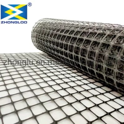  Дорожное строительство материал Geogrid усилитель почвы для монтажа на стену