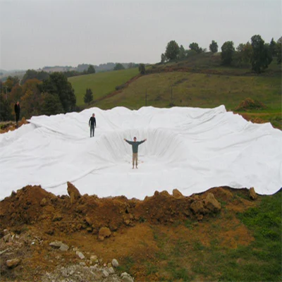 Полиэстер непрерывной нити накаливания Geotextile Geomembrane цена