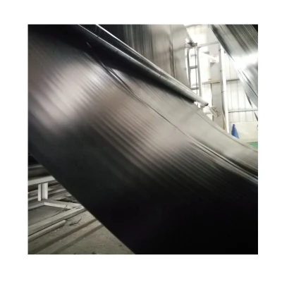 Пнд ПВХ 1 мм плотины пруда гильзы свалки Biodigester гильз Geomembrane