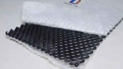 GEOnet для дренажа HDPE дренаж GeoComposite 3D Geonet