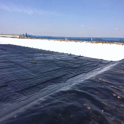 Футеровка HDPE 60 MIL 80 MIL Geomembrane для дорожного строительства