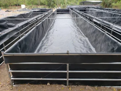 Полиэтилен полиэтиленовая пленка толщиной 1,50 мм Anti-Seepage герметичные кнопки Двусторонняя гладкая Geomembrane HDPE