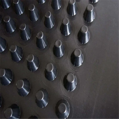 Завод Пираж Горячая продажа HDPE углубление мембрана Черный дренажный совет