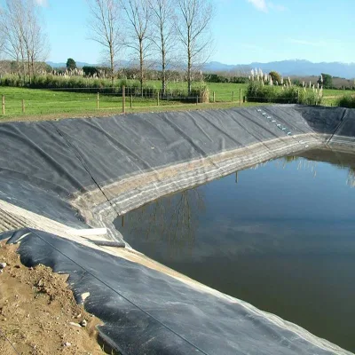 Футеровка HDPE 60 MIL 80 MIL Geomembrane для дорожного строительства