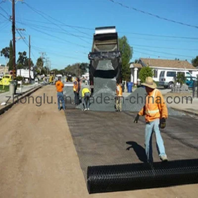  Дорожное строительство материал пластиковой Geogrid усилитель почвы для монтажа на стену