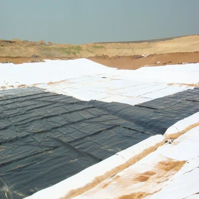 Футеровка HDPE 60 MIL 80 MIL Geomembrane для дорожного строительства