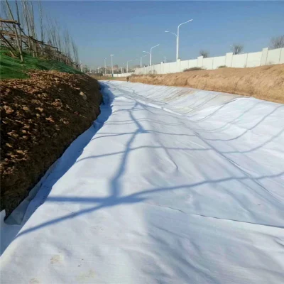 Полиэстер непрерывной нити накаливания Geotextile Geomembrane цена
