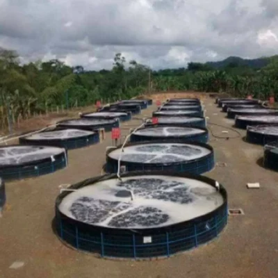 HDPE/LDPE/LLDPE композитный водонепроницаемый пластиковый подкрылок 2мм Geomembrane пруд цена