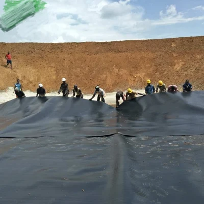HDPE/LDPE/LLDPE композитный водонепроницаемый пластиковый подкрылок 2мм Geomembrane пруд цена