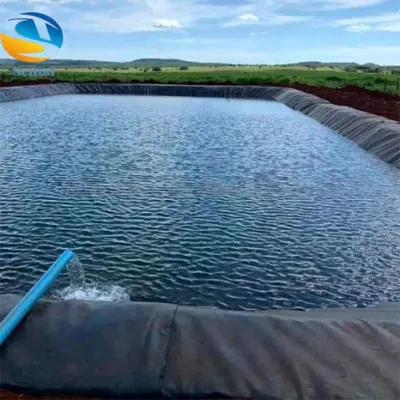  Оптовая торговля HDPE Geomembrane Производители для защиты от просачивания мембран в больших Водоемов