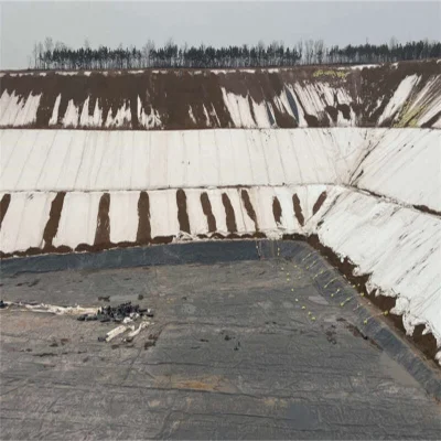 Горячая продажа ASTM Standard HDPE LLDPE Pond Liner Geomembrane Производитель