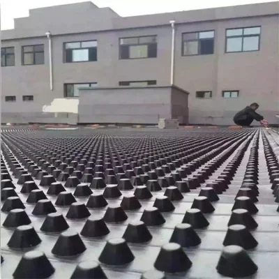Завод Пираж Горячая продажа HDPE углубление мембрана Черный дренажный совет