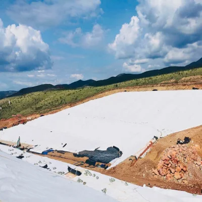  Лучший продавец PP/Pet Geotextile принимать индивидуальные для изготовителей оборудования