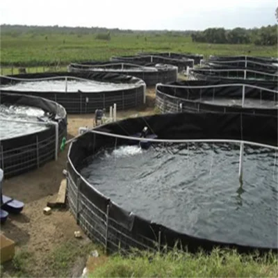 Горячая продажа ASTM Standard HDPE LLDPE Pond Liner Geomembrane Производитель