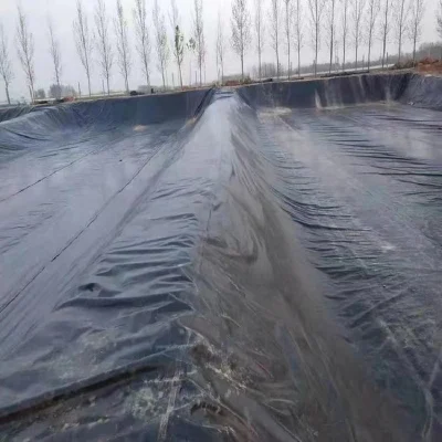  Непроницаемая оболочка HDPE гладкая/текстурированная 0.3/0.5/1.0/1.5/2,0 мм Гемемембранная для резервуара/пруд водонепроницаемая футеровка