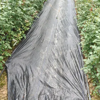  Geotextiles для борьбы с эрозией Geo ткани для следования коврик для сорняков по благоустройству