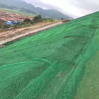  Посева трав завод композитных защиты слоя Geocomposite Geotextile 3D Geomat для слива