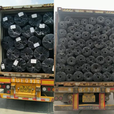 200 GSM игольчатый перфорированного полиэстер Волокно штапельное Nw Geotextile ПЭТ с лучшим соотношением цена