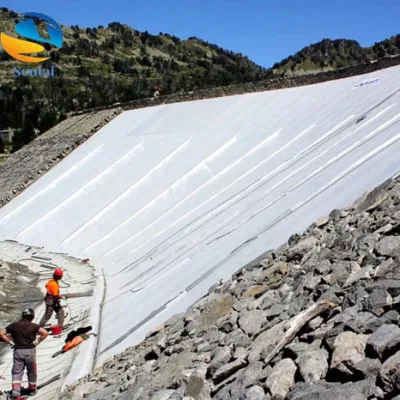 Недорогой полиэфирный нить Geotextile Поставщик