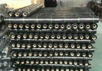  Рр осадков забора/PP землю за/PP коврик для сорняков/тканого Geotextile