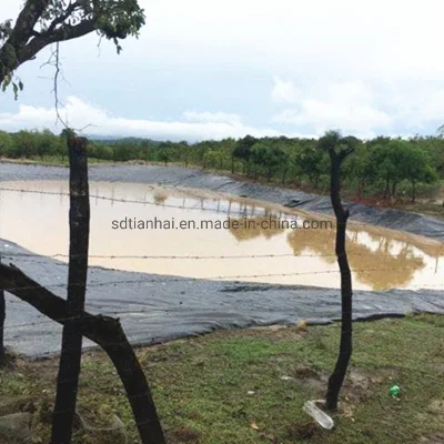 HDPE Geomembrane 60 MIL Smooth Black для Biogas