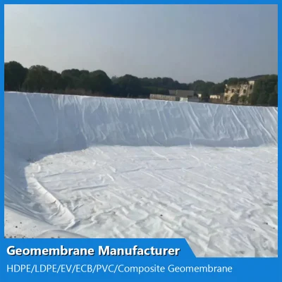 Китай композитный Geomembrane производителя для охраны природы химической промышленности и строительства/транспорт/метро/туннеля/вывоз мусора/железнодорожного туннеля